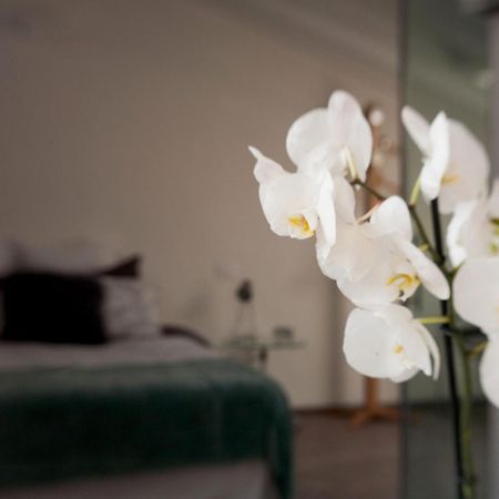 クレーマ San Clemente Bed & Breakfast エクステリア 写真