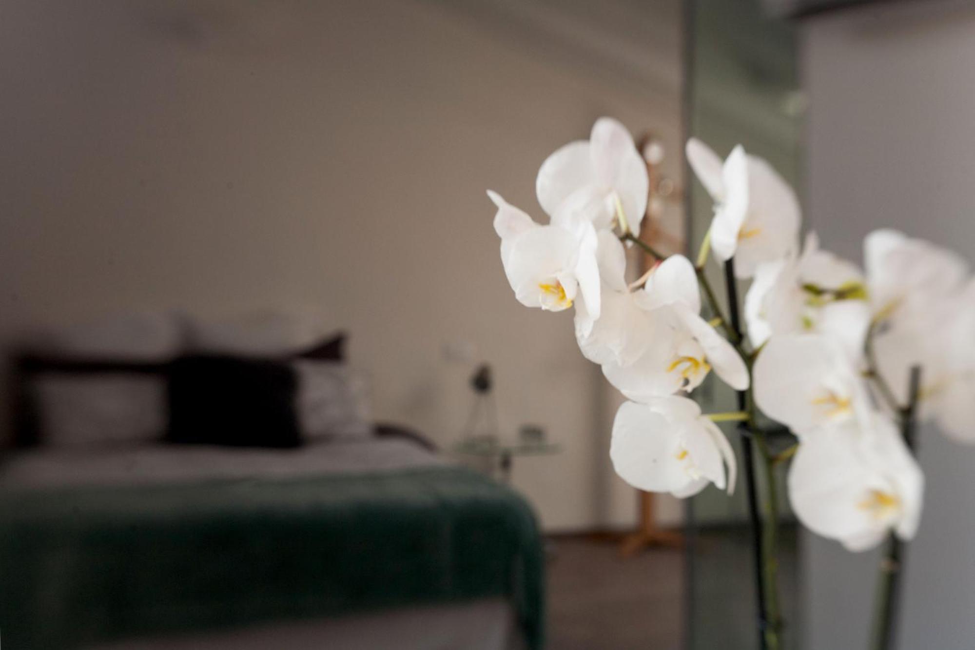 クレーマ San Clemente Bed & Breakfast エクステリア 写真